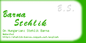 barna stehlik business card